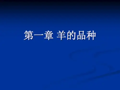 羊的品种