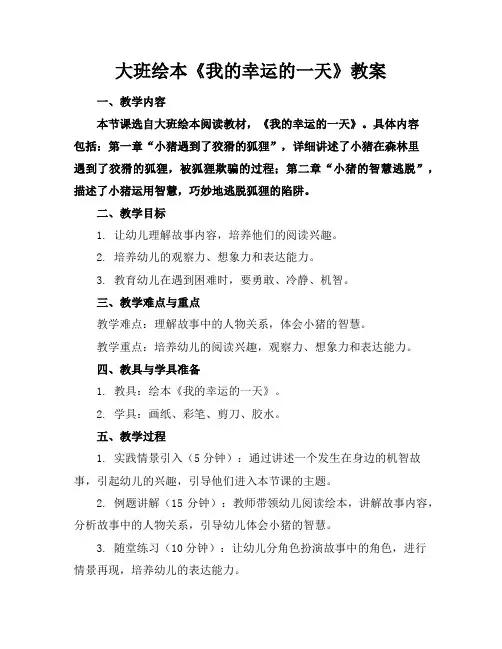 大班绘本《我的幸运的一天》教案