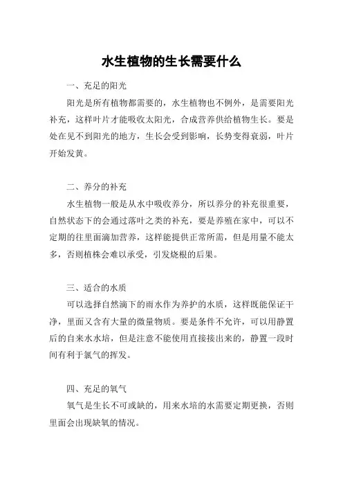 水生植物的生长需要什么