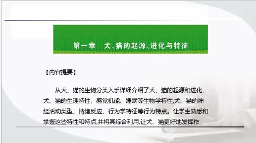 宠物饲养技术 第一章 犬、猫的起源、进化与特征