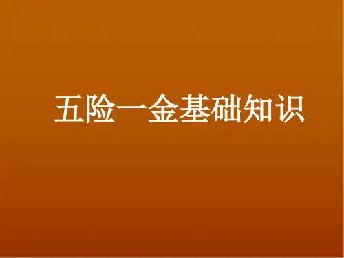 五险一金基础知识ppt