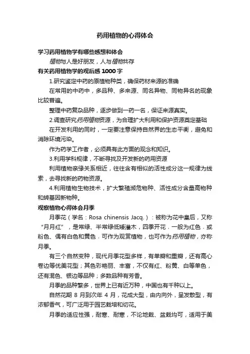药用植物的心得体会