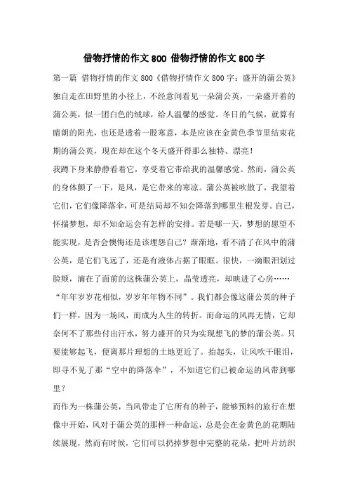 借物抒情的作文800 借物抒情的作文800字