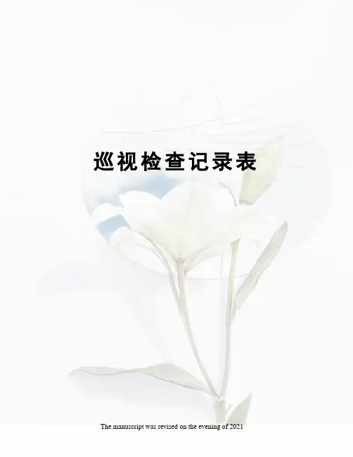 巡视检查记录表