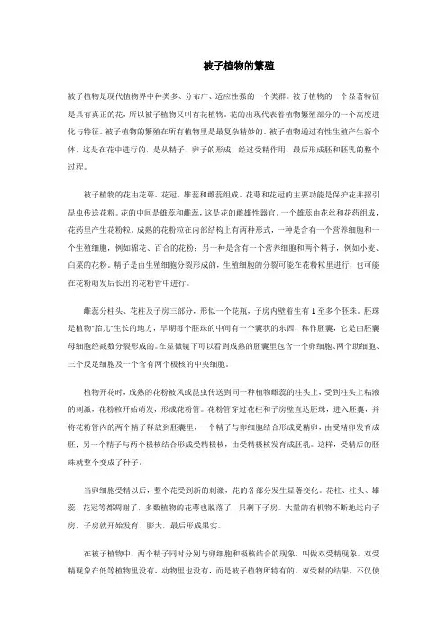 被子植物的繁殖