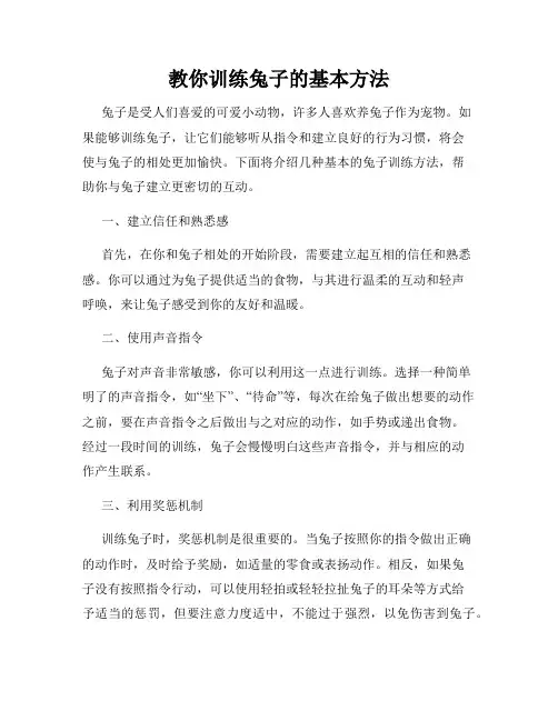 教你训练兔子的基本方法