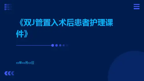 双J管置入术后患者护理课件
