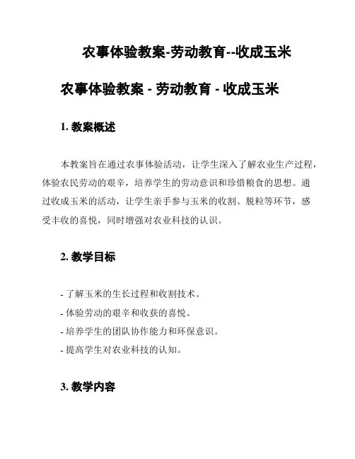 农事体验教案-劳动教育--收成玉米