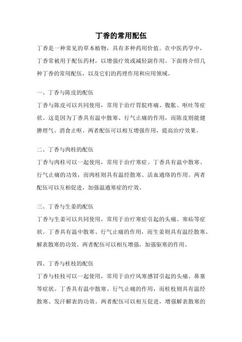 丁香的常用配伍