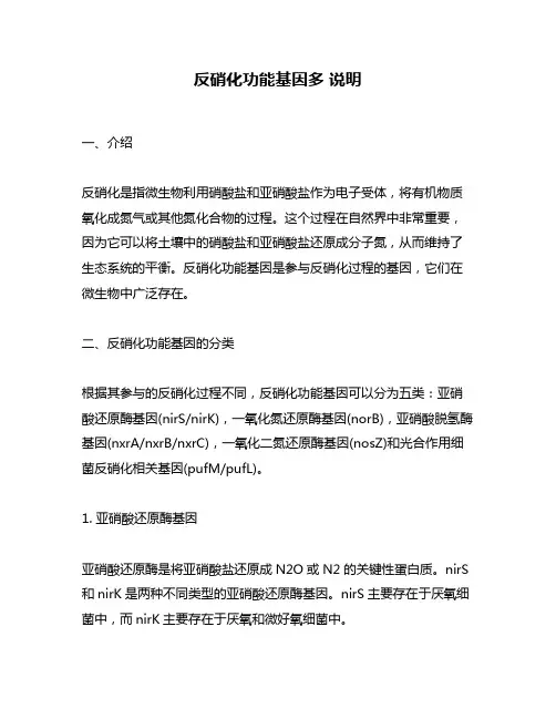 反硝化功能基因多 说明