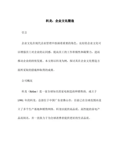 科龙：企业文化塑造
