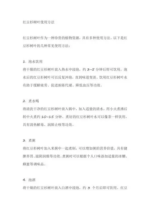 红豆杉树叶使用方法