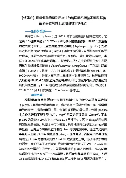 【铁死亡】铜绿假单胞菌利用宿主的磷脂酰乙醇胺不饱和脂肪酸诱导支气管上皮细胞发生铁死亡