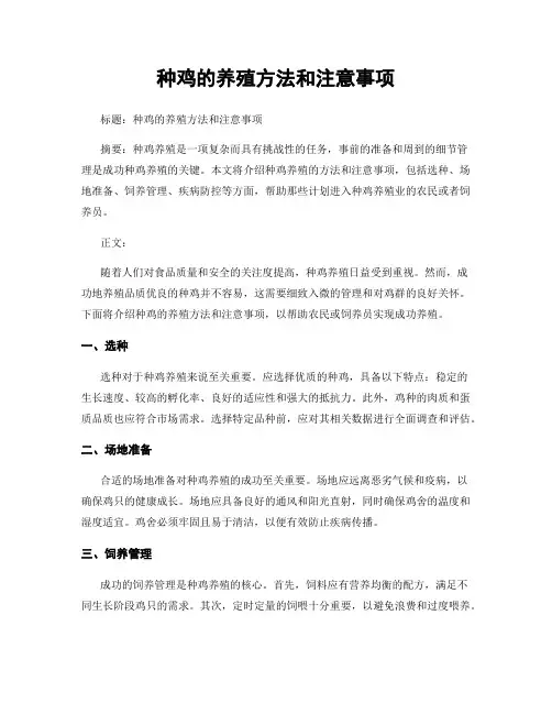 种鸡的养殖方法和注意事项