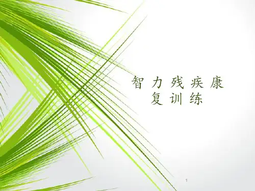 智力残疾康复训练  ppt课件