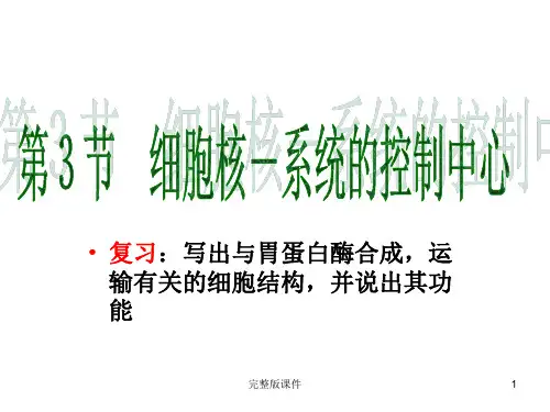 高中生物必修一细胞核ppt课件
