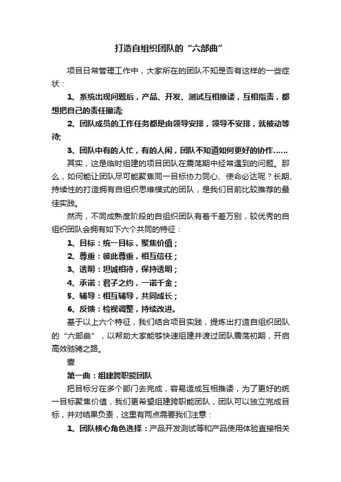 打造自组织团队的“六部曲”