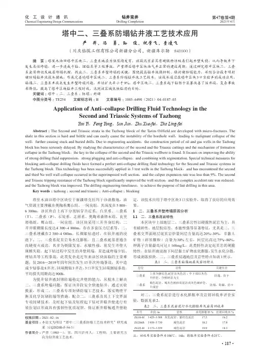 塔中二、三叠系防塌钻井液工艺技术应用