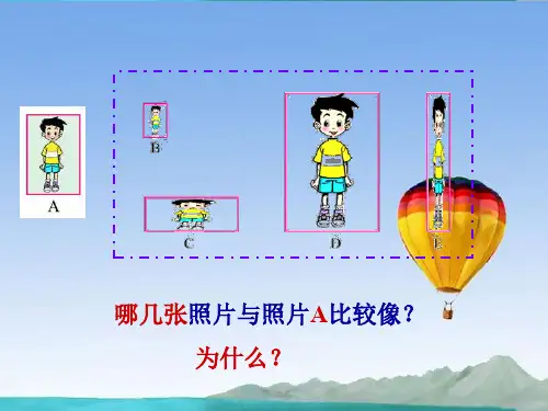 《生活中的比》PPT