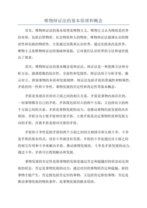 唯物辩证法的基本原理和概念