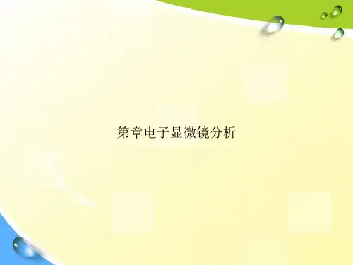 第章电子显微镜分析讲课文档