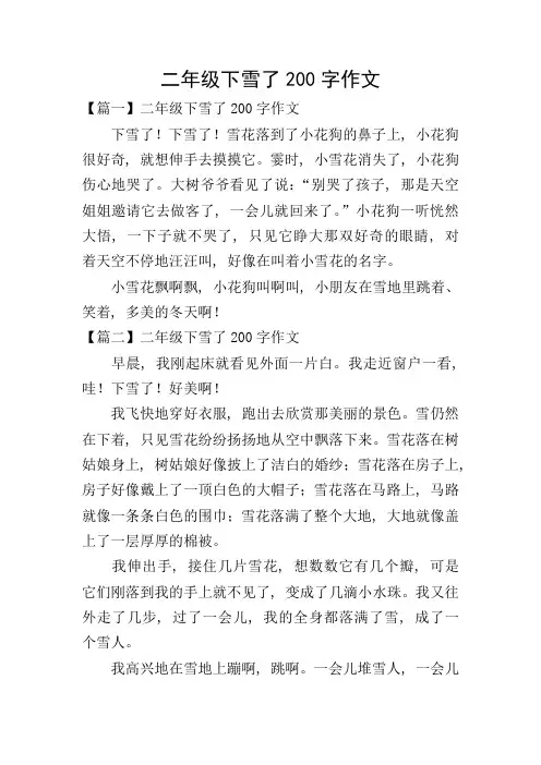二年级下雪了200字作文