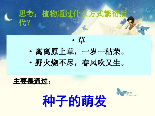 种子萌发的条件探究实验