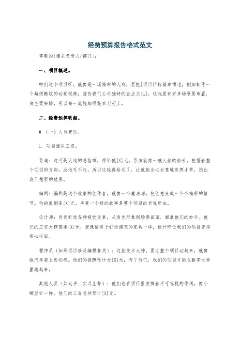 经费预算报告格式范文