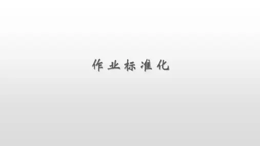 作业标准化