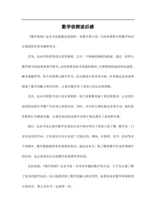 数学侦探读后感