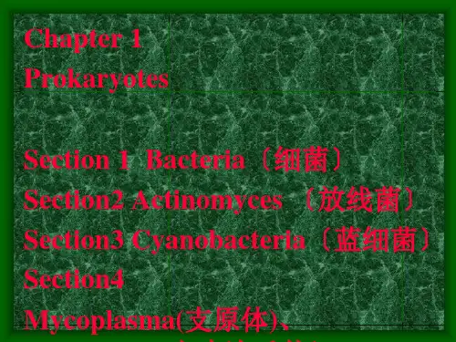微生物学周德庆第一章1