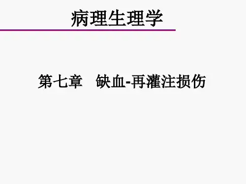 病理生理学ppt课件-第七章--缺血-再灌注损伤