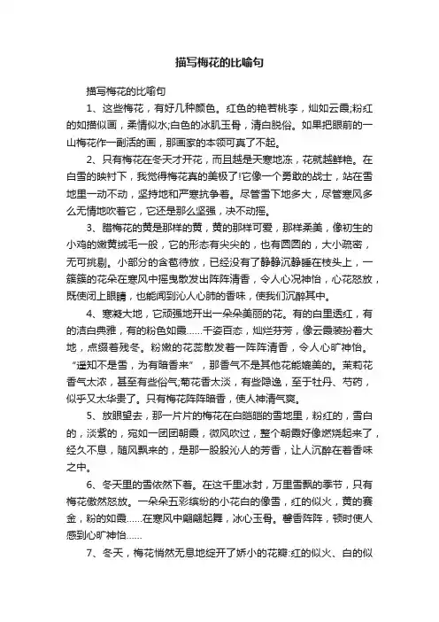 描写梅花的比喻句
