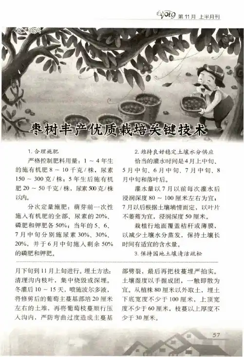 枣树丰产优质栽培关键技术