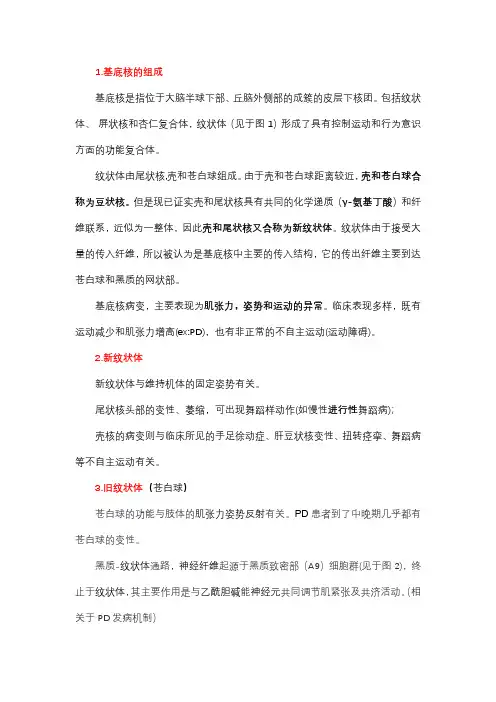 基底神经节