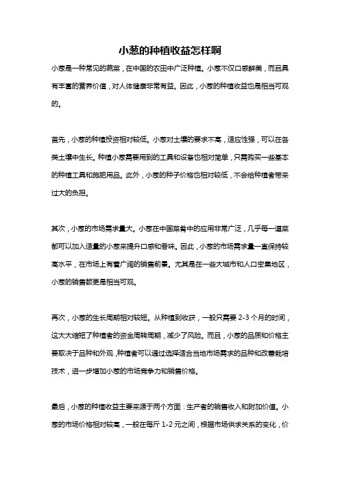 小葱的种植收益怎样啊