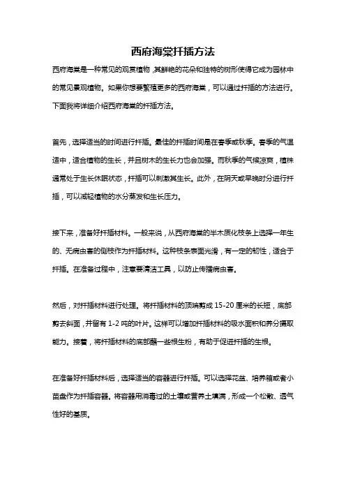 西府海棠扦插方法