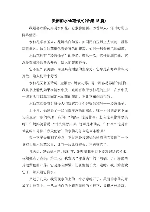 美丽的水仙花作文(合集15篇)范文