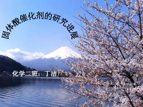 固体酸催化剂的研究进展