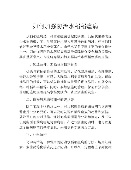 如何加强防治水稻稻瘟病
