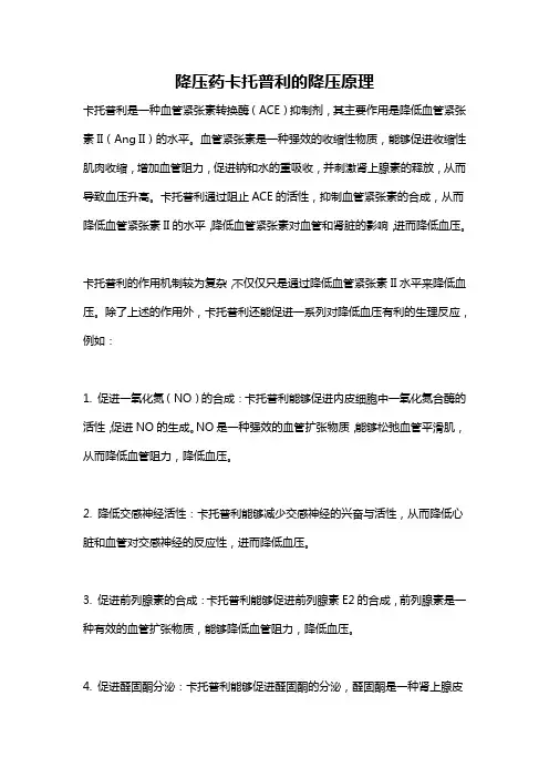 降压药卡托普利的降压原理