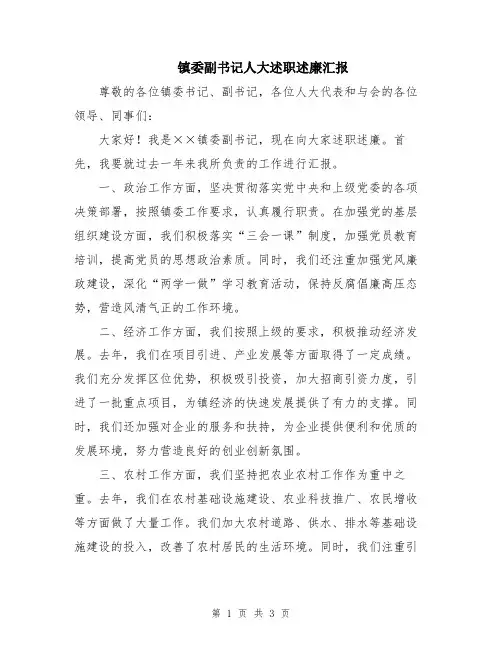 镇委副书记人大述职述廉汇报