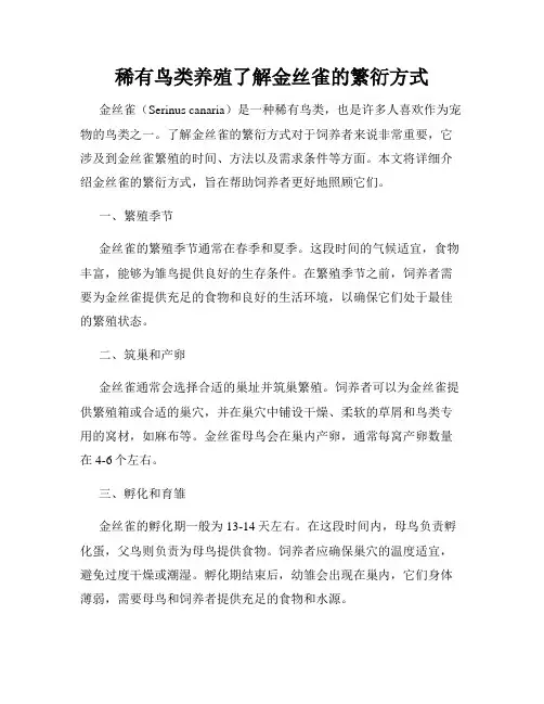 稀有鸟类养殖了解金丝雀的繁衍方式