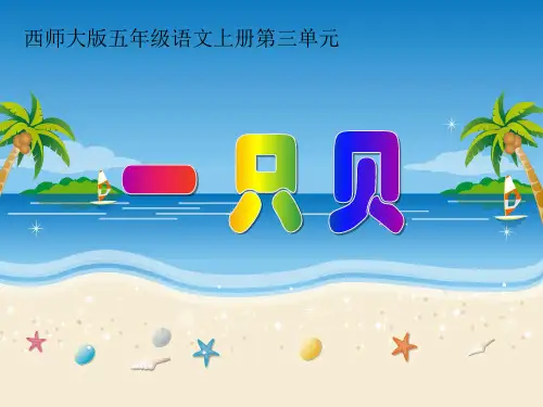 《一只贝》PPT教材课件