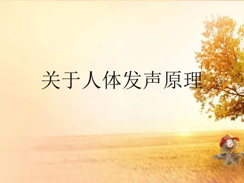 关于人体发声原理课件