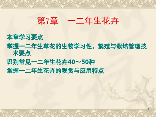 一二年生花卉