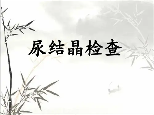 尿液结晶ppt课件