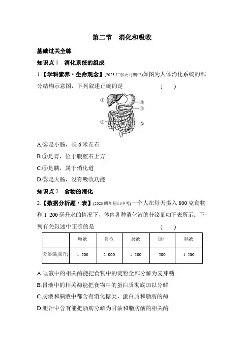 3.1.2 消化和吸收 素养提升练习(含解析)济南版七年级下册生物