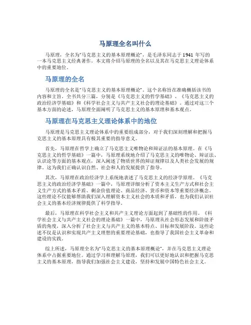 马原理全名叫什么