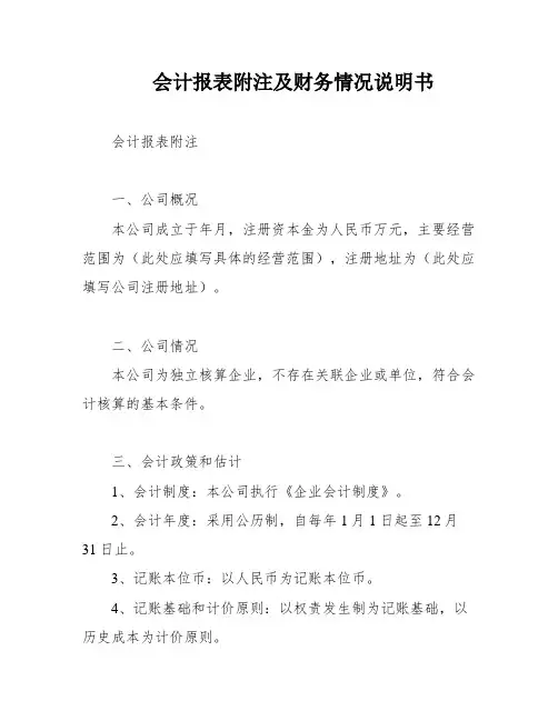 会计报表附注及财务情况说明书